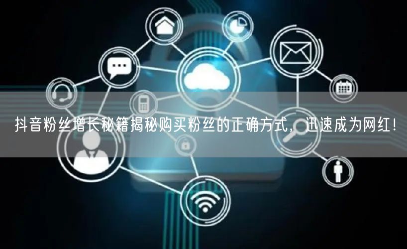 抖音粉丝增长秘籍揭秘购买粉丝的正确方式，迅速成为网红！