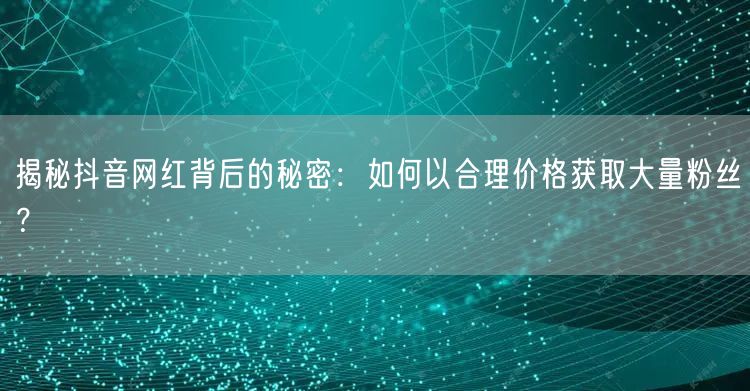 揭秘抖音网红背后的秘密：如何以合理价格获取大量粉丝？