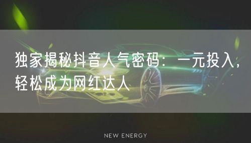 独家揭秘抖音人气密码：一元投入，轻松成为网红达人