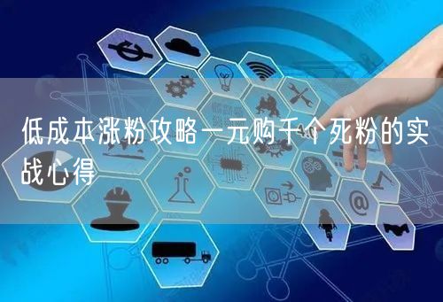 低成本涨粉攻略一元购千个死粉的实战心得
