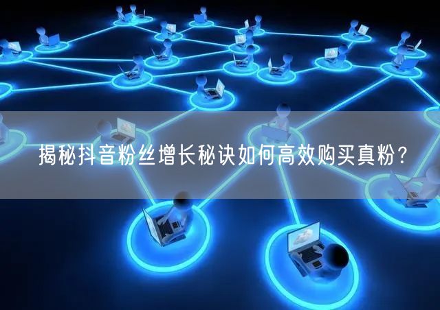 揭秘抖音粉丝增长秘诀如何高效购买真粉？