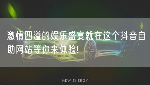 激情四溢的娱乐盛宴就在这个抖音自助网站等你来体验!