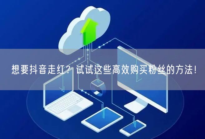 想要抖音走红？试试这些高效购买粉丝的方法！
