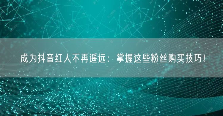 成为抖音红人不再遥远：掌握这些粉丝购买技巧！