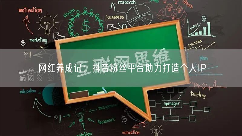 网红养成记：抖音粉丝平台助力打造个人IP