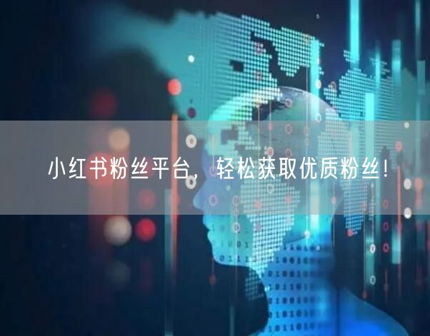 小红书粉丝平台，轻松获取优质粉丝！