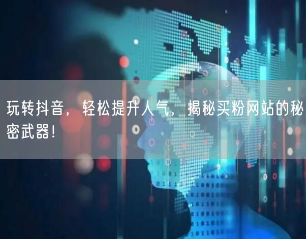 玩转抖音，轻松提升人气，揭秘买粉网站的秘密武器！