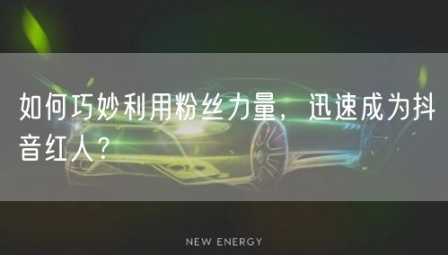 如何巧妙利用粉丝力量,迅速成为抖音红人?