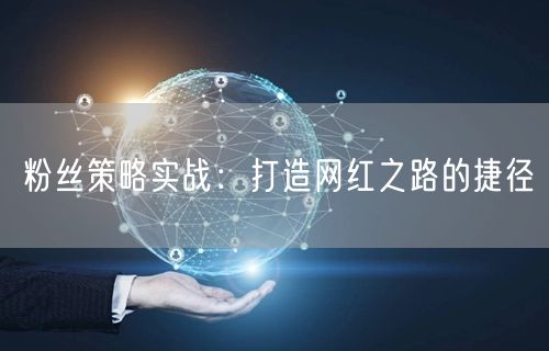 粉丝策略实战:打造网红之路的捷径