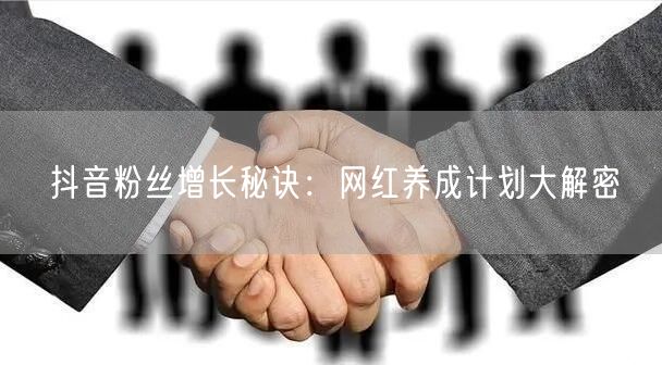 抖音粉丝增长秘诀:网红养成计划大解密