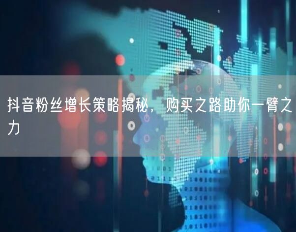 抖音粉丝增长策略揭秘,购买之路助你一臂之力