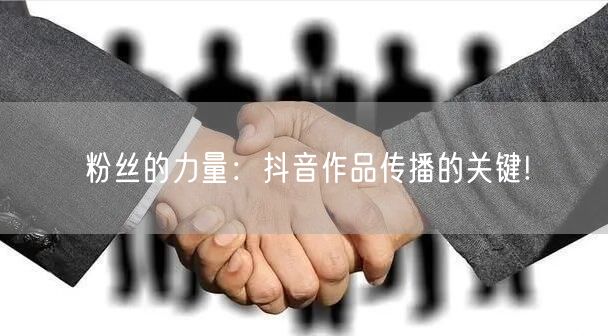 粉丝的力量:抖音作品传播的关键!