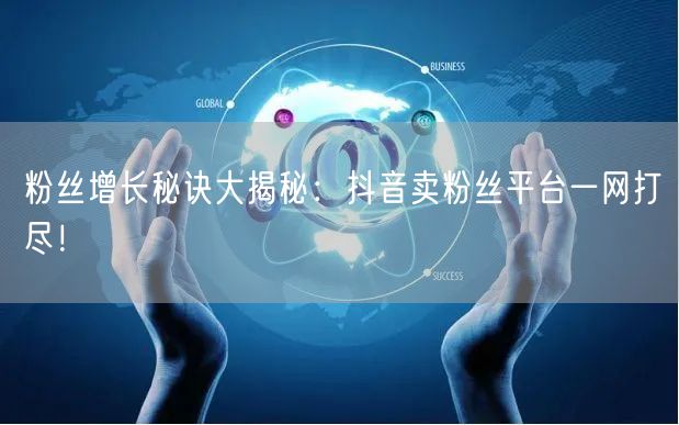 粉丝增长秘诀大揭秘：抖音卖粉丝平台一网打尽！